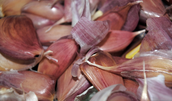 plante à tubercules en 4 lettres