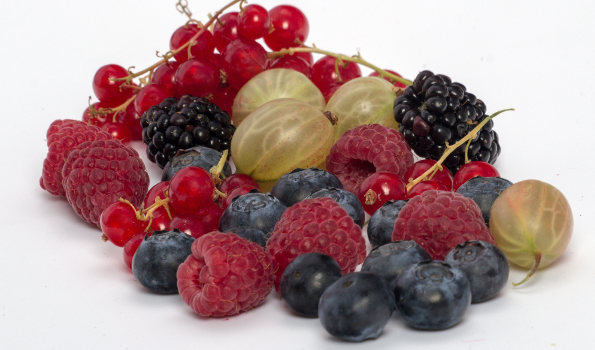 Les petits fruits de A à Z - Fraisier - Framboisier - Fruits rouges et noirs - Des saveurs originelles ou inédites pour des jardins gourmands.