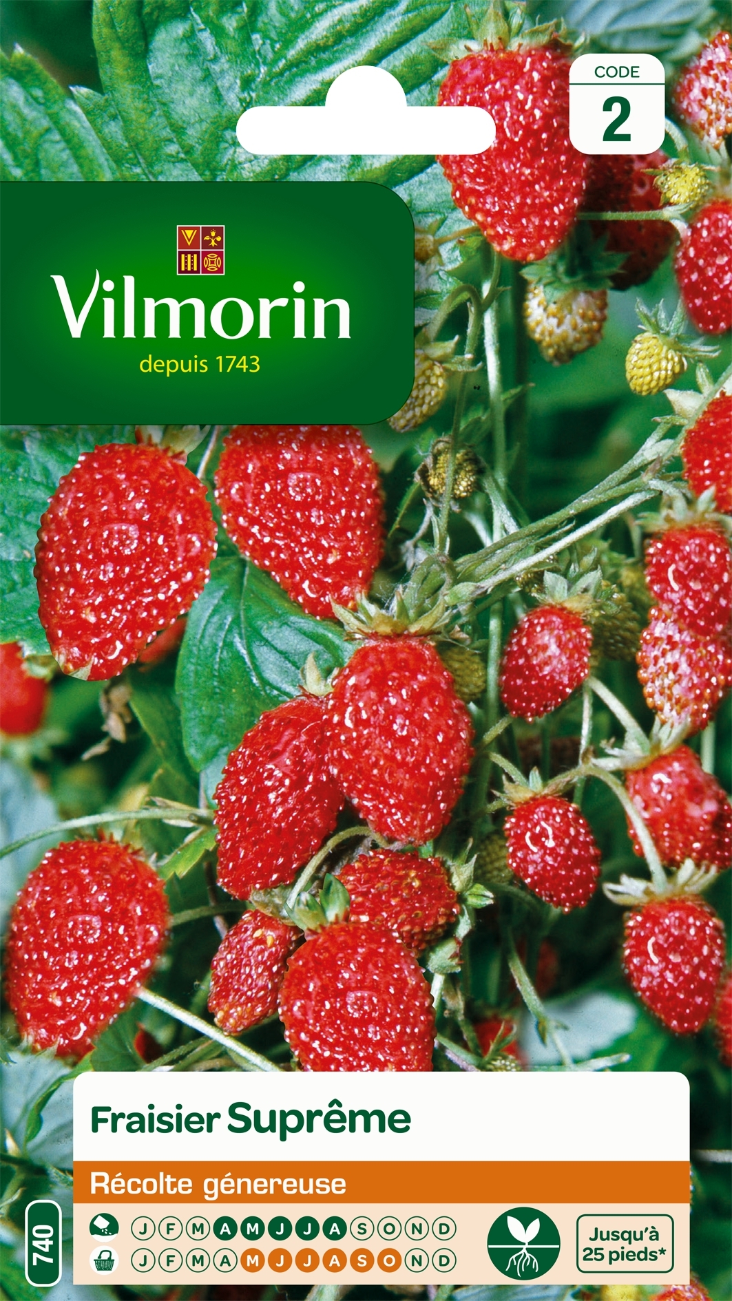 Graines Fraisier Des Bois Baron Solemacher - Fragaria Vesca Ruegen