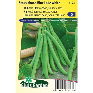 Haricot à rames mangetout Blue Lake White graines