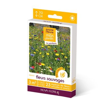 Mélange de graines Fleurs sauvages