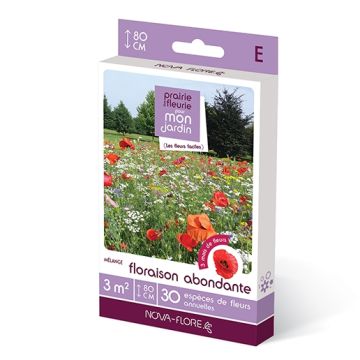 Mélange Floraison abondante - Boîte pour 3 m ² 