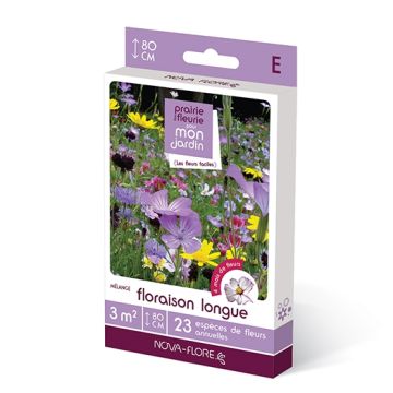 Mélange Floraison longue - Boîte pour 3 m²