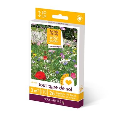 Mélange de graines côté nord 3m2 - Graines de fleurs pour prairie