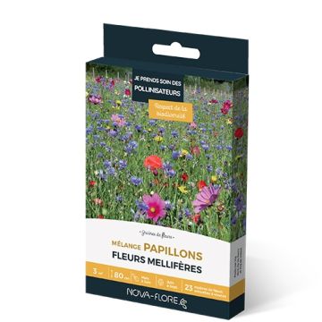 Mélange Papillons - Boîte pour 3 m²