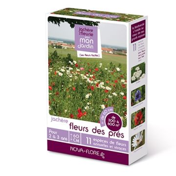 Jachère Fleurs des près