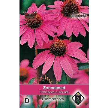 Graines d'Echinacea purpurea Zonnehoed - Rudbeckia pourpre