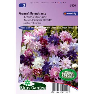 Ancolies à fleurs doubles Granny’s Bonnets - Aquilegia vulgaris Plena