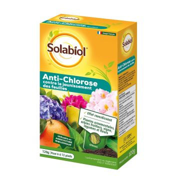 Anti-chlorose Ferrostrène® Solabiol étui de 120g