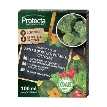 Anti mildiou pour potager concentré - Chitosan