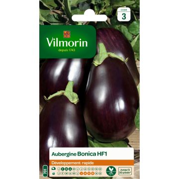 Aubergine Bonica F1 - Vilmorin