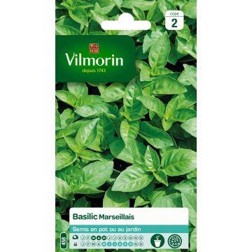 Basilic Marseillais (extrêmement parfumé) - Vilmorin