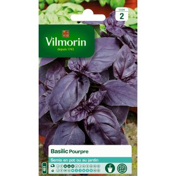 Basilic Pourpre - Vilmorin