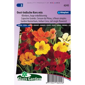 Graines de Capucine grimpante à fleurs simples BIO - Tropaeolum majus