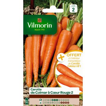 Carotte de Colmar à cœur rouge 2 + échantillon carotte Eskimo - Vilmorin