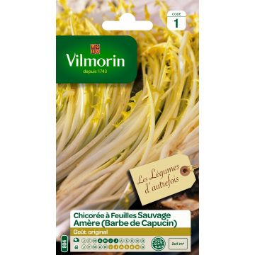 Chicorée à larges feuilles amère type Barbe de Capucin - Vilmorin