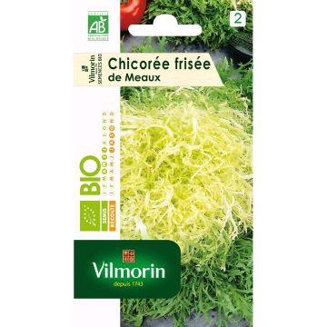 Chicorée frisée de Meaux Bio - Vilmorin