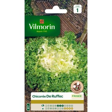 Chicorée frisée de Ruffec - Vilmorin