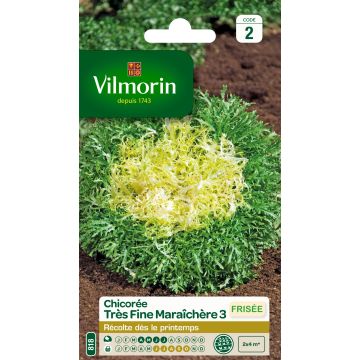 Chicorée frisée très fine maraîchère 3 - Vilmorin