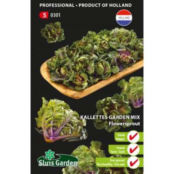 Chou Flower Sprout - Kalettes Garden Mix