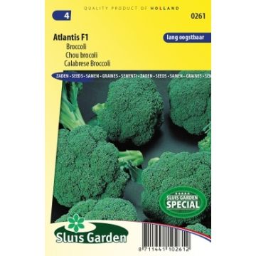 Chou brocoli Atlantis F1 NT