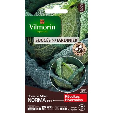 Chou de Milan Norma F1 - Vilmorin