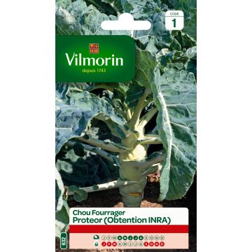 Chou fourrager Protéor (Obtention INRA) - Vilmorin