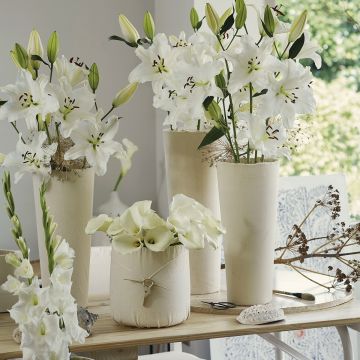 Collection bulbes pour Bouquets modernes blancs