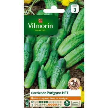 Cornichon Parigyno HF1 (Création Vilmorin) - Vilmorin