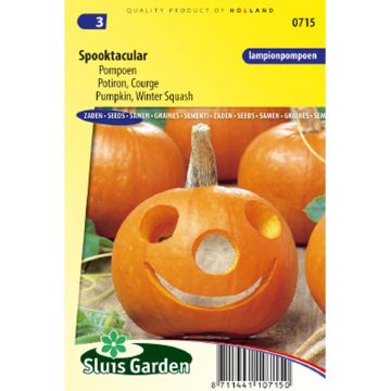 Potiron d'Halloween Spooktacular - Courge - Cucurbita pepo