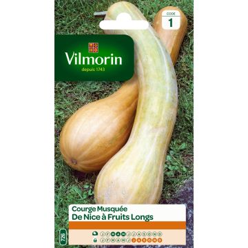 Courge de Nice à fruits longs -Vilmorin
