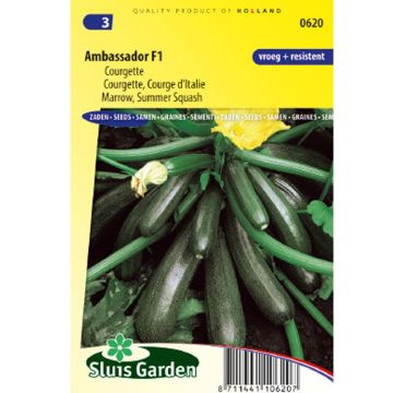 Courgette Ambassador F1