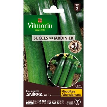 Courgette Anissa F1 (Création Vilmorin) - Vilmorin