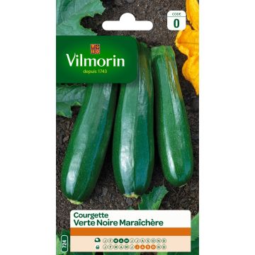 Courgette verte noire maraîchère - Vilmorin