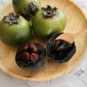 Diospyros digyna - Sapotier noir