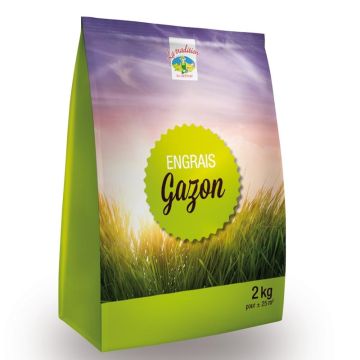 Engrais Gazon  NPK 8-8-12 + 3MgO en Mini-pack de 2 Kg
