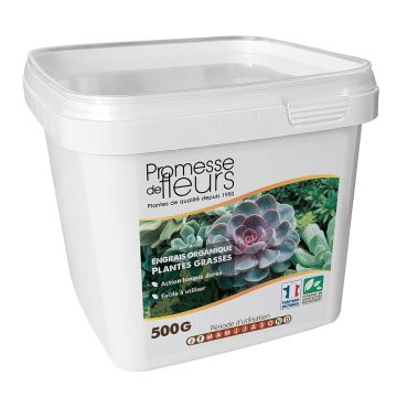 Engrais UAB Promesse de Fleurs pour plantes grasses boite de 500g