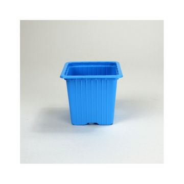 Godet couleur Bleu Clair de multiplication 7 x 7 x 6,4 cm - vendu par 30