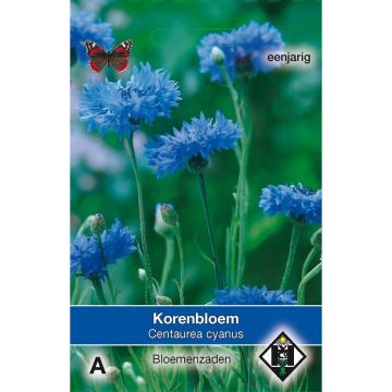 Graines de Centaurea cyanus - bleuet sauvage