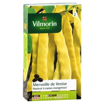 Haricot à rames mangetout beurre Merveille de Venise ou Or du Rhin - Vilmorin 