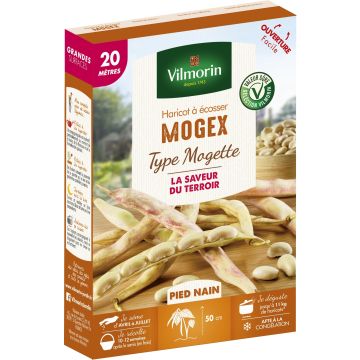 Haricot nain à écosser Mogex (Création Vilmorin) - Vilmorin