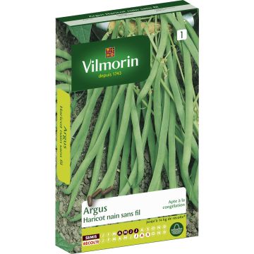 Haricot nain à filet Argus - Vilmorin
