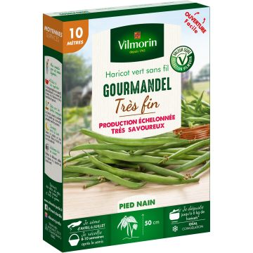 Vilmorin Grains de Haricot Nain Sans Fil Oxinel 2 BIO, 80g