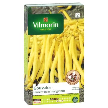 Haricot nain mangetout beurre Goussdor (Création Vilmorin) - Vilmorin