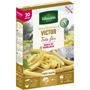 Haricot nain mangetout beurre Victor - Vilmorin