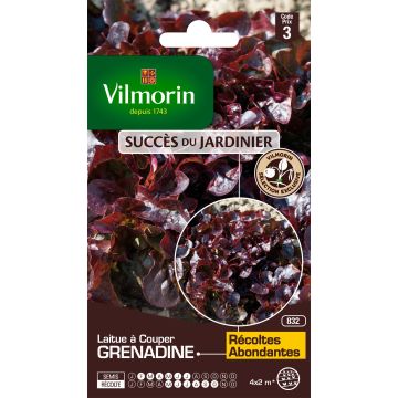 Laitue à couper Feuille de Chêne Grenadine (Obtention Vilmorin) - Vilmorin