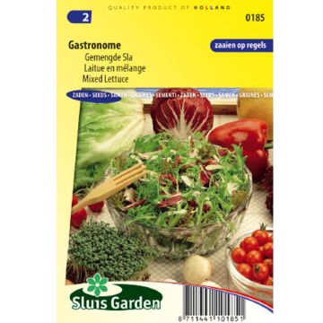 Laitue en mélange Gastronome - Lactuca sativa