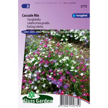 Graines de Lobelia erinus Cascade en mélange