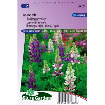 Graines de Lupin annuel en mélange - Lupinus hartwegii