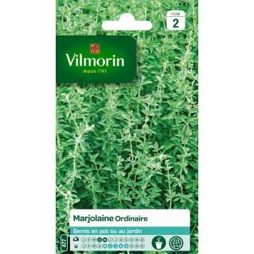 Marjolaine ordinaire - Vilmorin